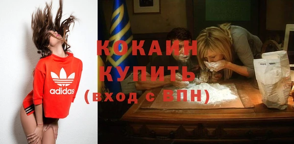 кокс Арсеньев