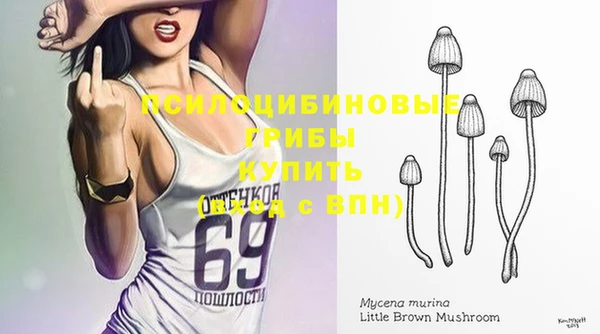 mix Армянск