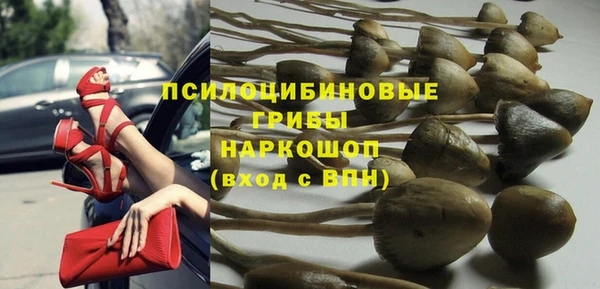 кокс Арсеньев