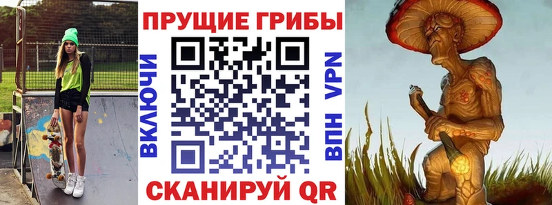 Псилоцибиновые грибы GOLDEN TEACHER  наркотики  Ленинск-Кузнецкий 