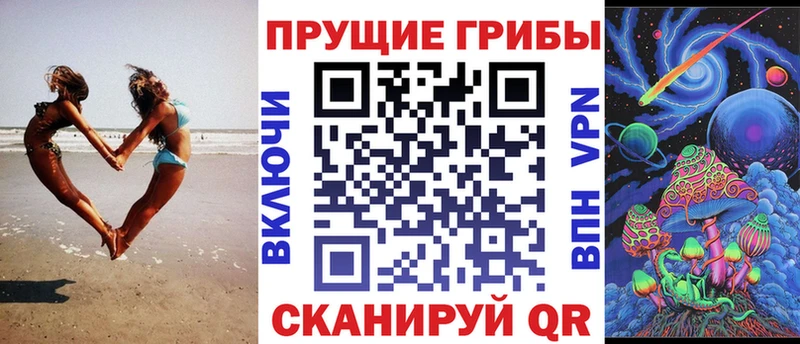 Галлюциногенные грибы Psilocybe Ленинск-Кузнецкий